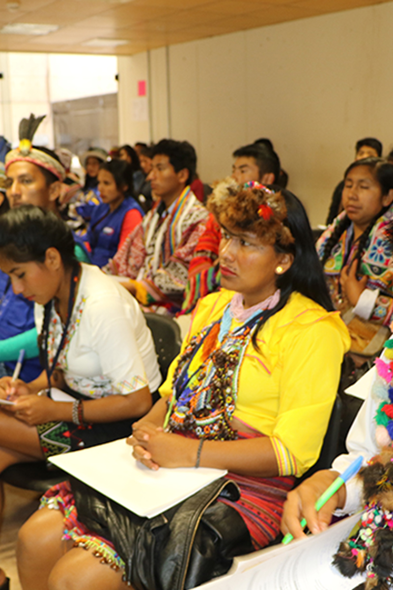 DIPLOMADO EN EDUCACION SUPERIOR Y FORMACION DOCENTE (1)